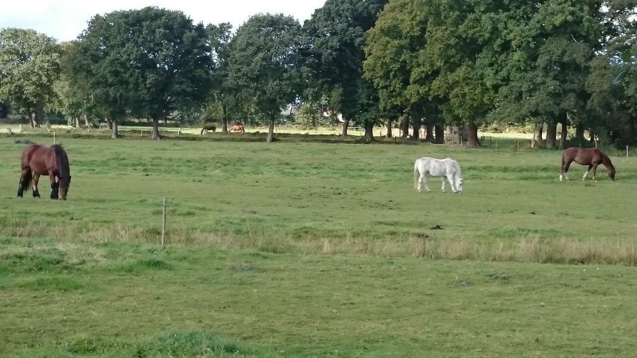 Gaestehaus Am Brockeswald Cuxhaven Kültér fotó